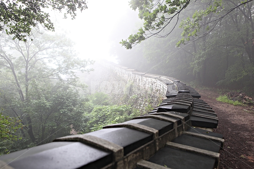 남한산성,성,성곽,길,둘레길,숲,숲길,돌담,담,풍경,자연,벽