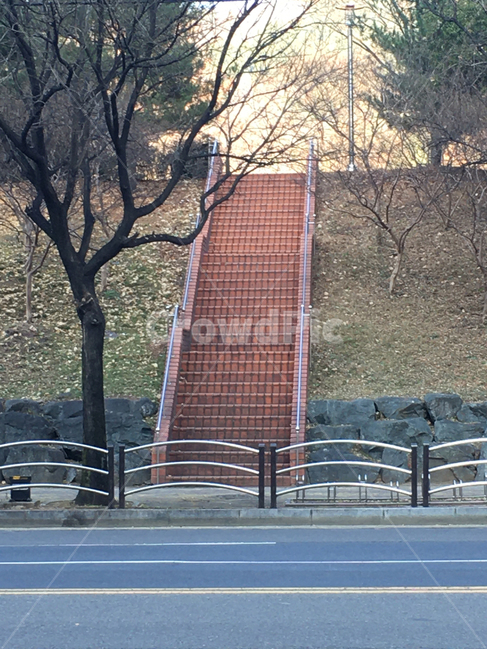 벽돌,brick,거리,street,보도,walkway,sidewalk,풍경,scenery,입구,entrance,나무,tree,나무줄기,treetrunk,낙엽,deciduous,잎,leaf,생활,life,공원,park,바닥,땅,ground,floor,flooring,식물,plant,통로,path,판석,flagstone,아스팔트,asphalt,타맥,tarmac,계단,staircase,난간,handrail,railing,도로,길,road,banister