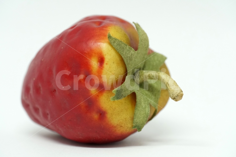 누끼,사물,물건,소품,장식품,딸기,과일,열매,fruit,strawberry,누끼사진,오브젝트,object,컨셉,콘셉,concept,과실,모형,사물,물건,오브젝트,thing,object,matter,누끼,remove background