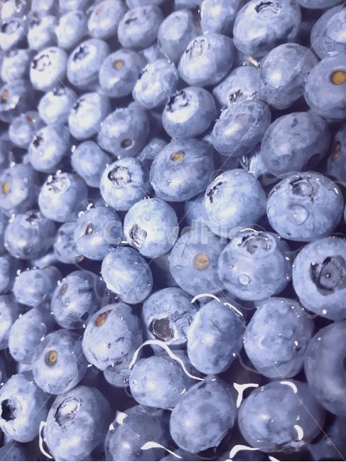 fruit,과일,음식,blueberry,블루베리
