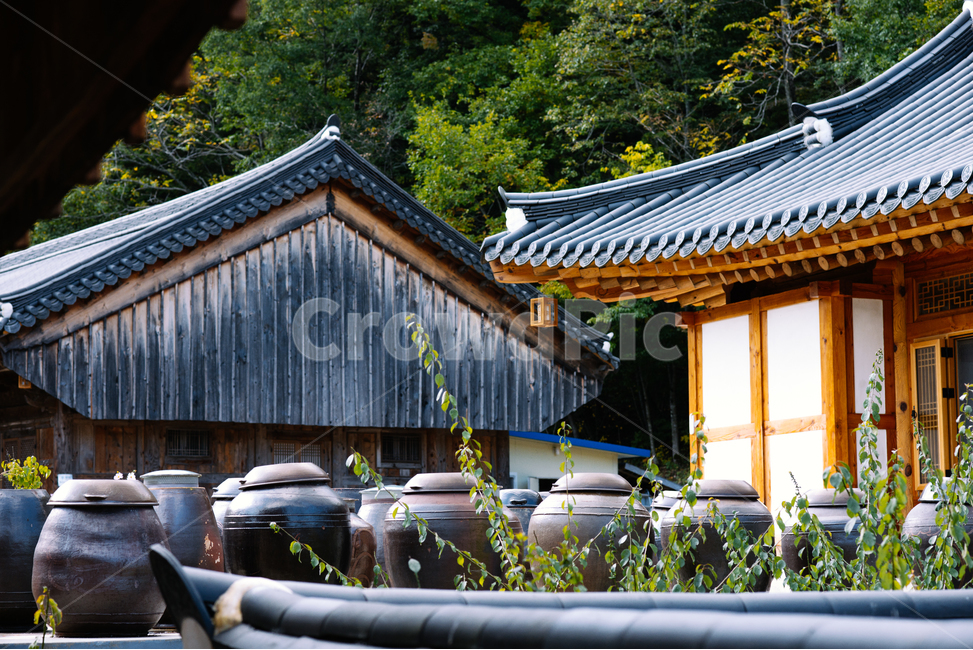 한국적,한국,기와집,한옥,백담사,설악산,가을,단풍,장독대,한국전통,한국문화,korean traditional,korean culture,건축물,건물외관,exterior,building,structure,architecture,construction
