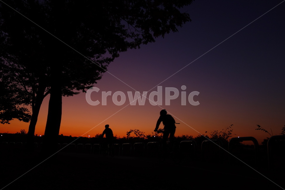 silhouette,실루엣,human,인간,자연,nature,사람,person,outdoors,옥외,dusk,황혼,일몰,sunset,자전거,인물실루엣,사람실루엣,character silhouette,human silhouette,스포츠,레저,운동,sports,leisure,exercise