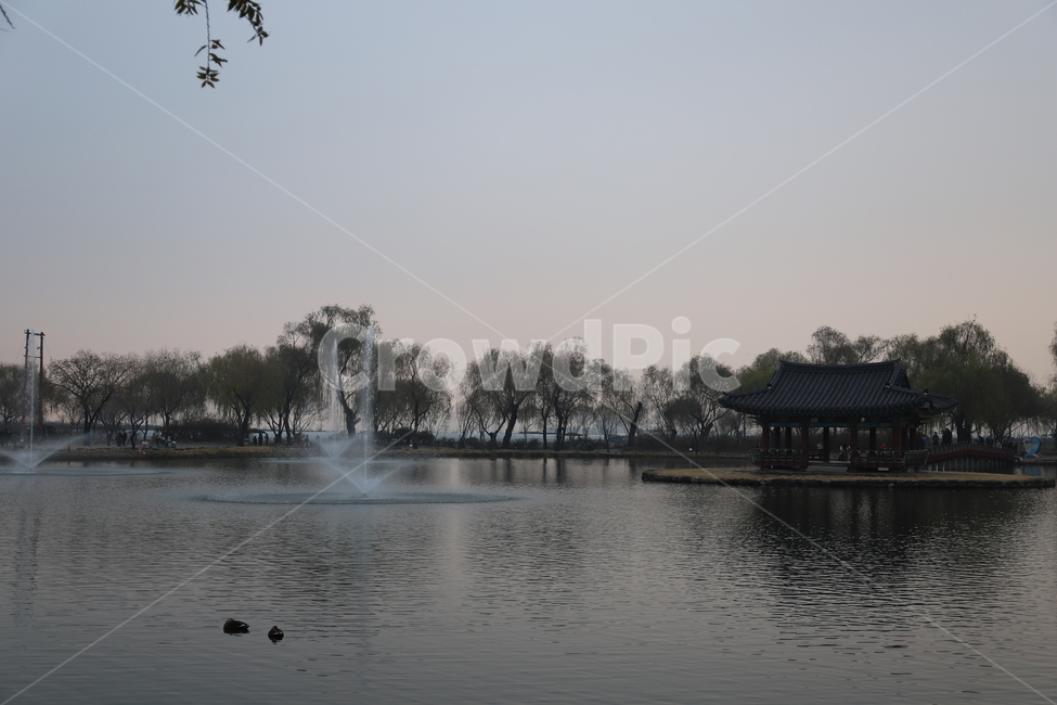 water,물,nature,자연,궁남지,충남,충청남도,백제,백제유적,유적,사적지,사적,호수,연못,정원,버드나무,조경,부여군