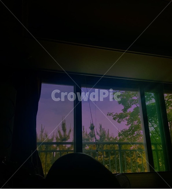 나무,풍경,구름,파란하늘,여름,맑은하늘,하늘,초록색,파란색,하얀색,sky,cloud,tree,녹색