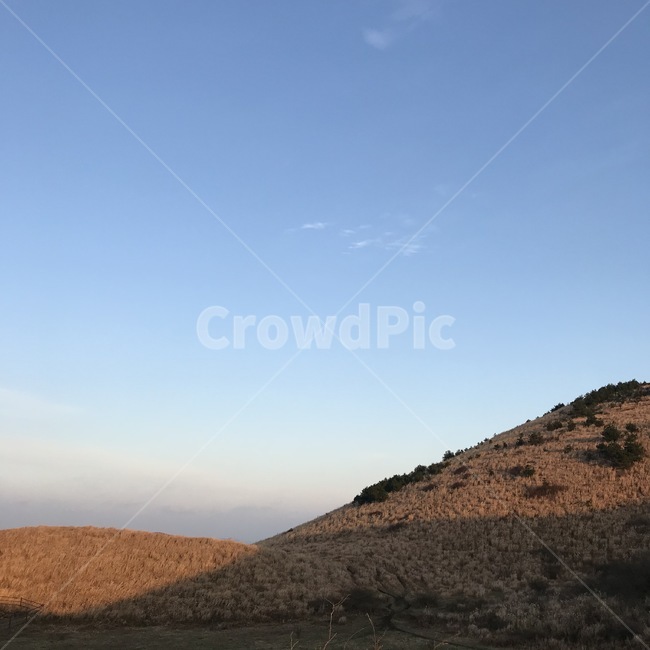 제주,제주도,언덕,푸른하늘,파란하늘,자연,nature,옥외,outdoors,grassland,목초지,field,들,오름