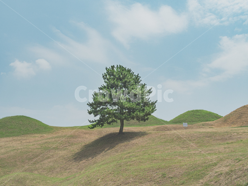 풍경,나무,자연,가을,하늘,옥외,outdoors,공원,자연,풍경,nature,landscape