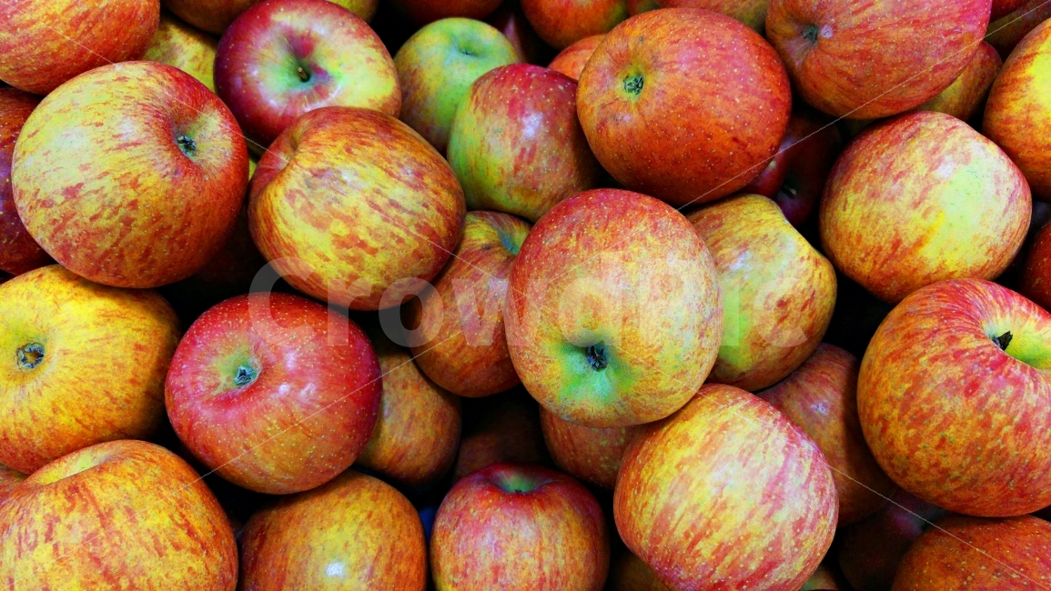 사과,애플,apple,과일,청과,유기산,주석산,건강식,다이어트,미용식품,비타민,칼륨,스트레스해소,펙틴,사과산,피로회복,샐러드,사라다,잼,쥬스,통조림,생식,아삭,식감,감칠맛,새콤,달콤,후지사과,배경,바탕,백그라운드,시안,디자인,디자이너,콘텐츠,웹,홈페이지,마케팅,배너,팝업,패턴,줄무늬,황록색,빨강,레드,섬유소,음식,식재료,요리,food,cook,meal,dishes,food reserves,과일,열매,fruit