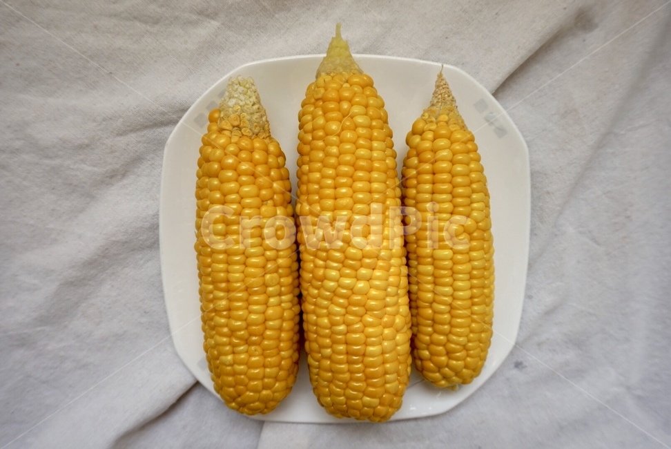 과일,과일식,채식,fruit,옥수수,초당옥수수,음식,식재료,요리,food,cook,meal,dishes,food reserves,곡류,곡식,cereals