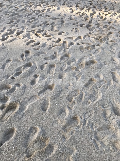 rug,깔개,outdoors,옥외,nature,모래,sand,자연,바다,발자국,모래발자국,강원도,재미