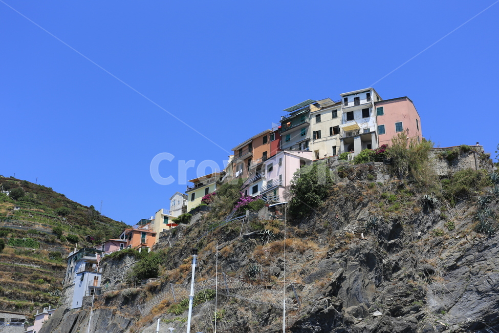 이태리,이탈리아,친퀘테레,italy,cinqueterre,마나롤라,유럽,마을,언덕,산,집