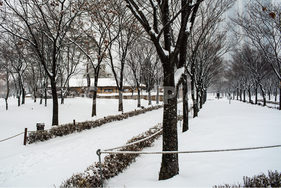눈발,백설,눈길,흰눈,겨울풍경,겨울,계절,winter,season,한국전통,한국문화,korean traditional,korean culture