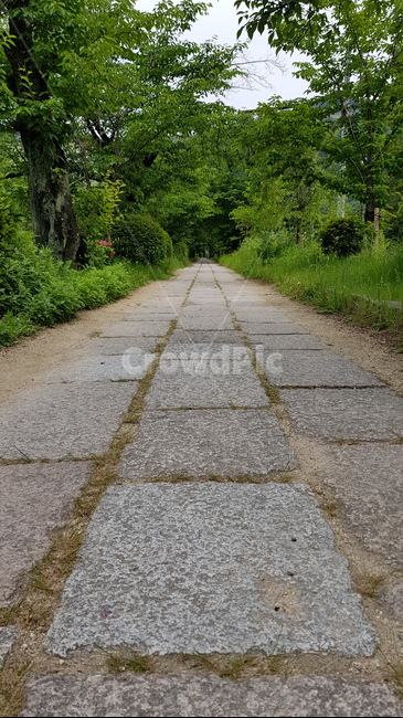 일본,길,풍경,배경,도로,인도,자연,풍경,nature,landscape,road,gravel,자갈,dirt road,흙길,asphalt,아스팔트,slate,슬레이트,path,통로,flagstone,판석