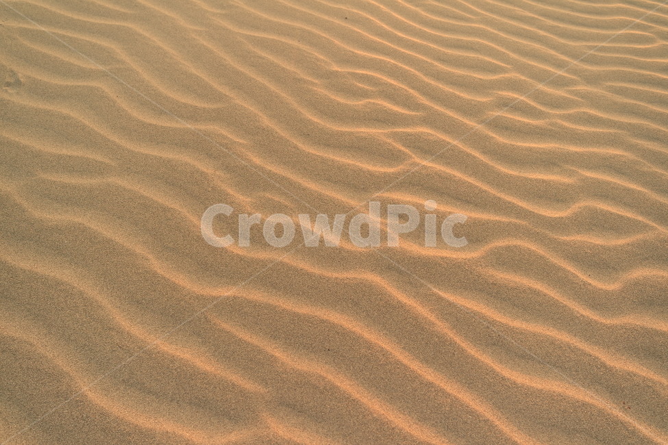 해변,모래,물결,sand,wave