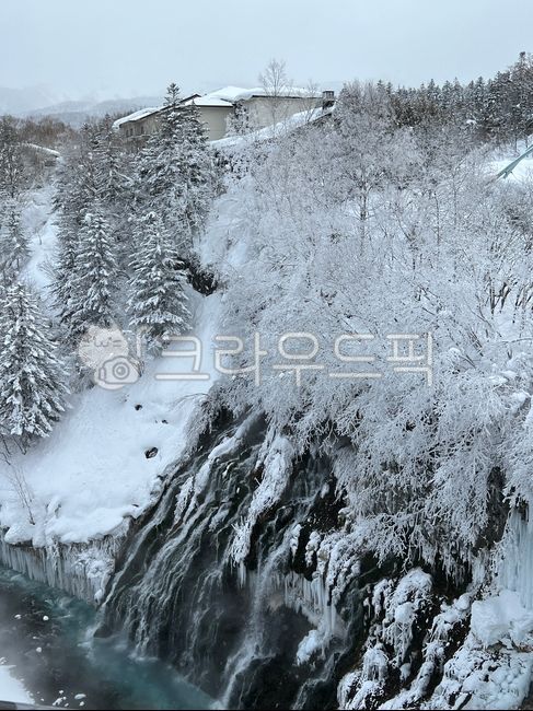 자연,nature,흰수염폭포,폭포,눈,얼음,전나무,나무,tree,날씨,weather