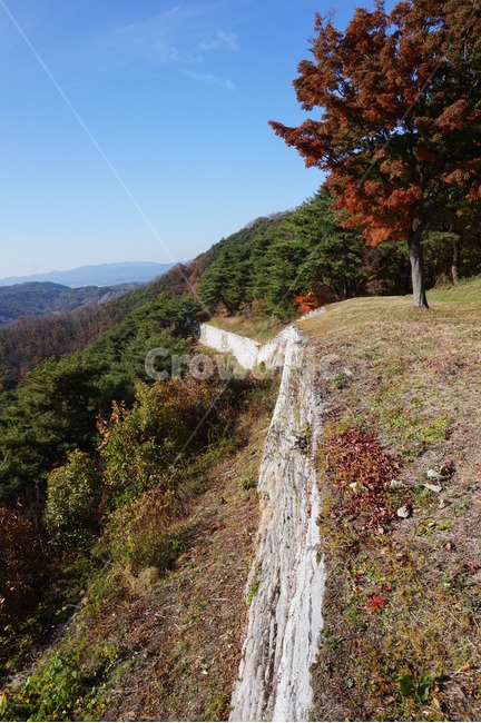 산,단풍,가을,하늘,나무,태양,풍경,경치,산행,등산,단풍나무,가을단풍