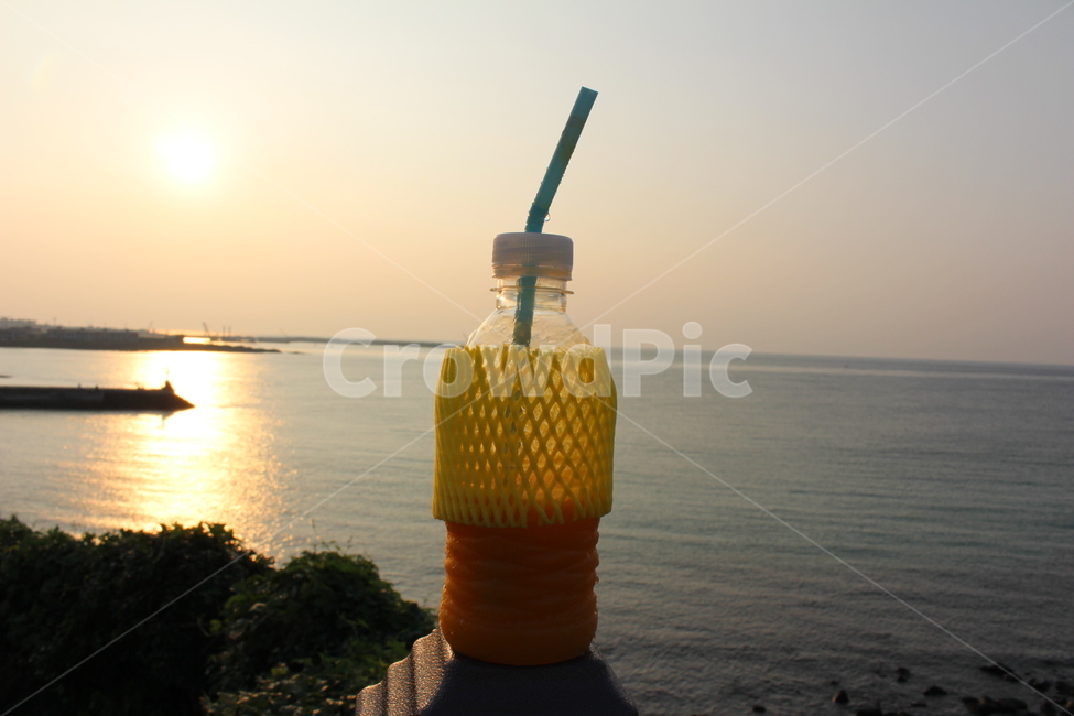 망고,망고쥬스,mango,juice,sunset,제주도,음료수,drink,beverage