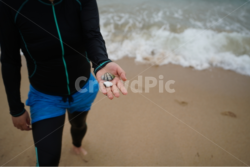 바다,해수욕장,조개,손,해변,물,sea,생물,자연,풍경,nature,landscape,해변,바다,beach,sea,사람,인물,인간,human,person,신체일부,몸,body