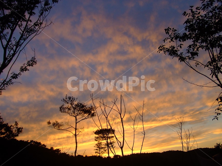 석양,노을,나무,구름,sunset,하늘,cloud,tree,공원