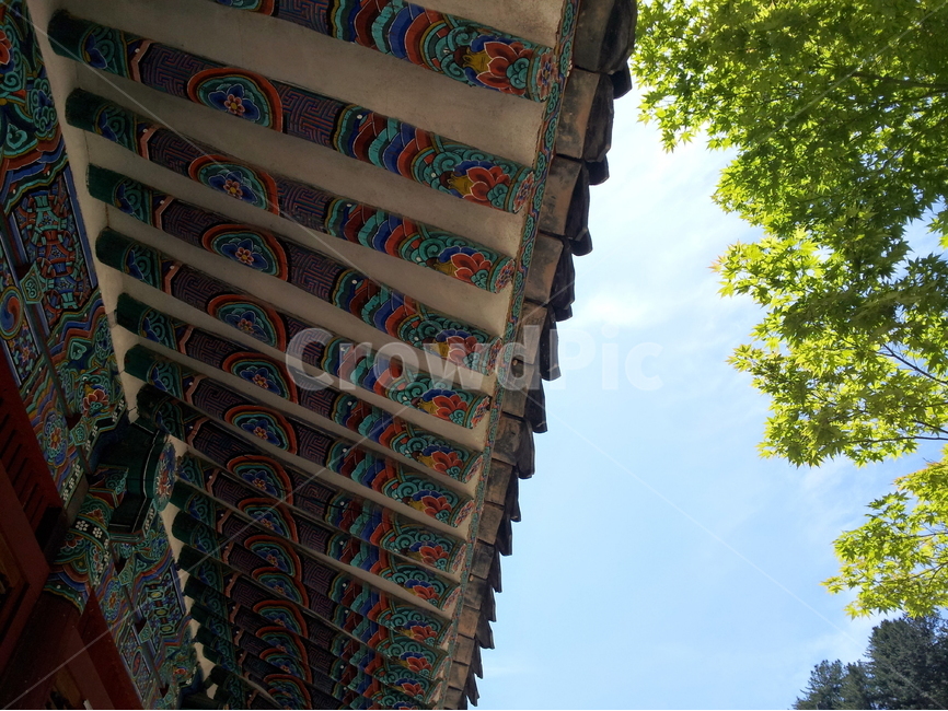 고건축,문화재,사찰,지붕,단청,문양,단청무늬,목조건물,청색,백색,자색,황색,흑색,목조건축,사원,종교,직지사,한국전통,한국문화,korean traditional,korean culture,건축물,건물외관,exterior,building,structure,architecture,construction