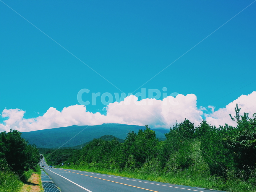 제주도,도로,맑음,하늘,파란색,자연,풍경,nature,landscape,road,freeway,고속 도로,highway,고속도로,asphalt,아스팔트