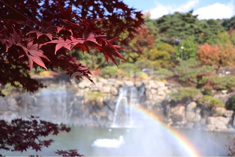 가을,단풍,무지개,호수,가을경치,가을,계절,fall,autumn,season,leaf,잎,plant,식물,tree,나무