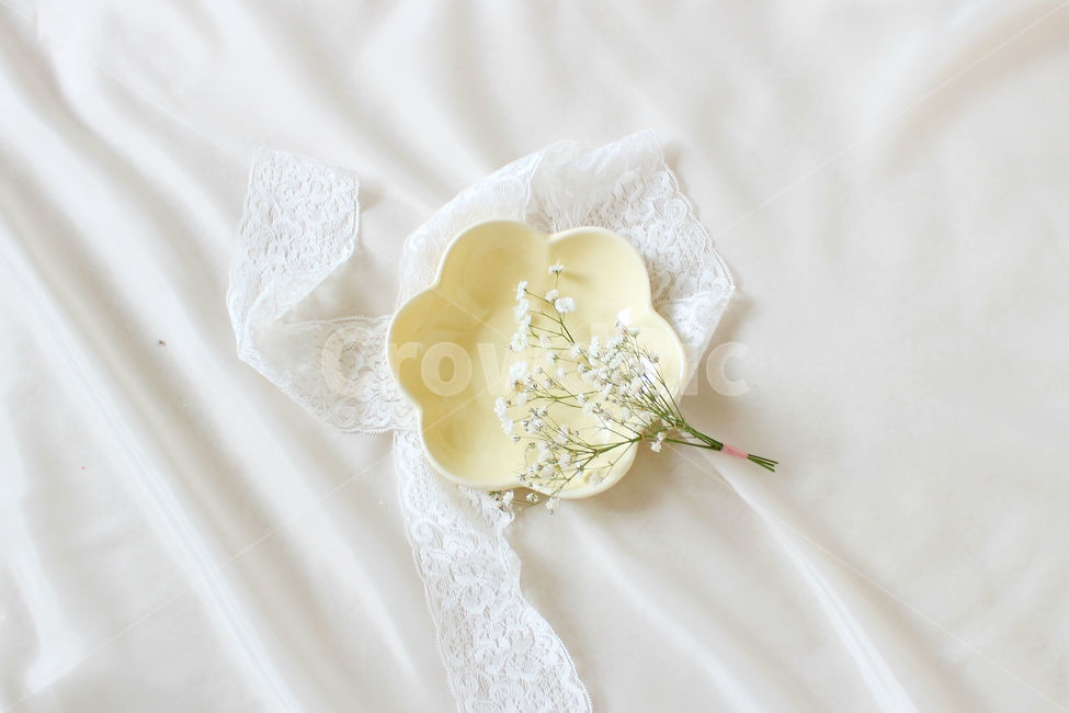 손,꽃,안개꽃,노랑,감성사진,그릇,노란색,하얀색,yellow,white,flower,flowers,레이스,접시,hand,사물,물건,오브젝트,thing,object,matter