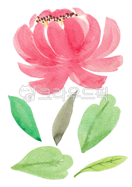 그림,일러스트레이션,일러스트,드로잉,배경,백그라운드,시즌,봄,식물,자연,수채화,수작업,봄꽃,꽃,나뭇잎,잎,녹색,초록색,모란,모란꽃,illustration,drawing,hand,drawn,watercolor,painting,background,season,spring,plant,nature,leaf,green,flower,floral,botanical,blossom,peony,red