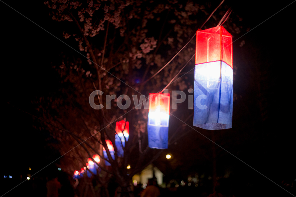 청사초롱,연등,등불,호롱불,빛,야경,밤,풍경,nightscape,night,landscape,한국전통,한국문화,korean traditional,korean culture,lamp,램프,lantern,칸델라