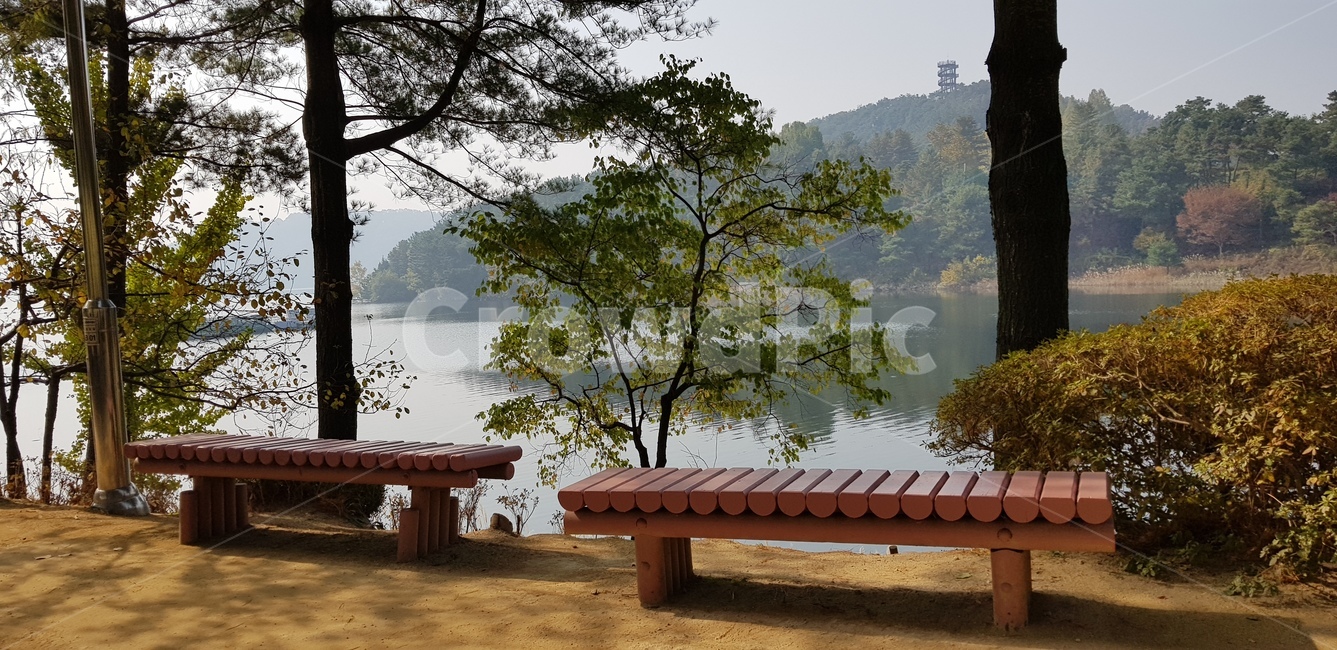 가을,단풍,벤치,강,산,땅,흙,자연,풍경,호수,물,갈색,식물,옥외,outdoors,water