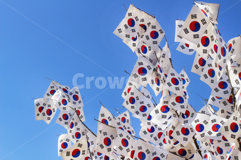 태극기,국기,한국국기,하늘,태극기나무