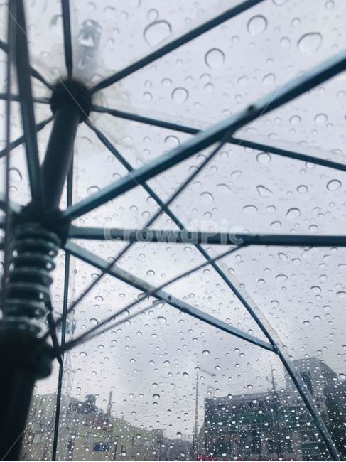하늘,우산,비,물,빗방울,비오는날,비,비오는날,rain,rainy