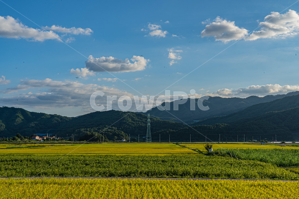 시골,하늘,풍경사진,풍경,논,시골,마을,풍경,landscape,country,rural,town,농업,농사,agriculture,farming,farming industry