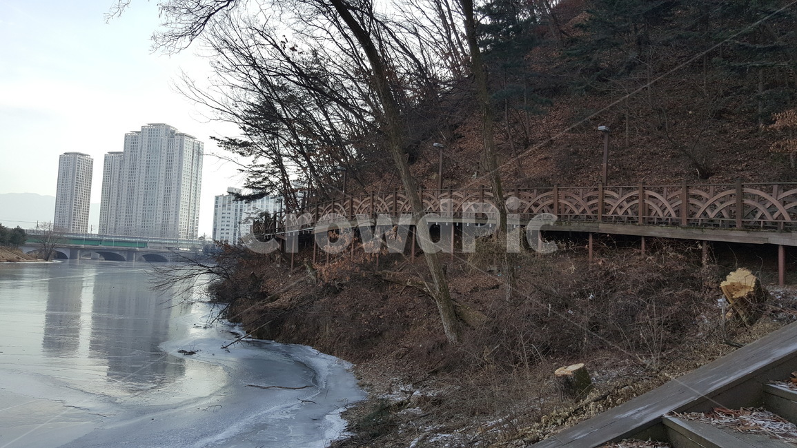 겨울,호수,얼음,공원,호수다리,추위,겨울,계절,winter,season,도시,풍경,city,landscape,한국도시풍경,한국도시경관,korea cityscape,nature,자연,ditch,도랑