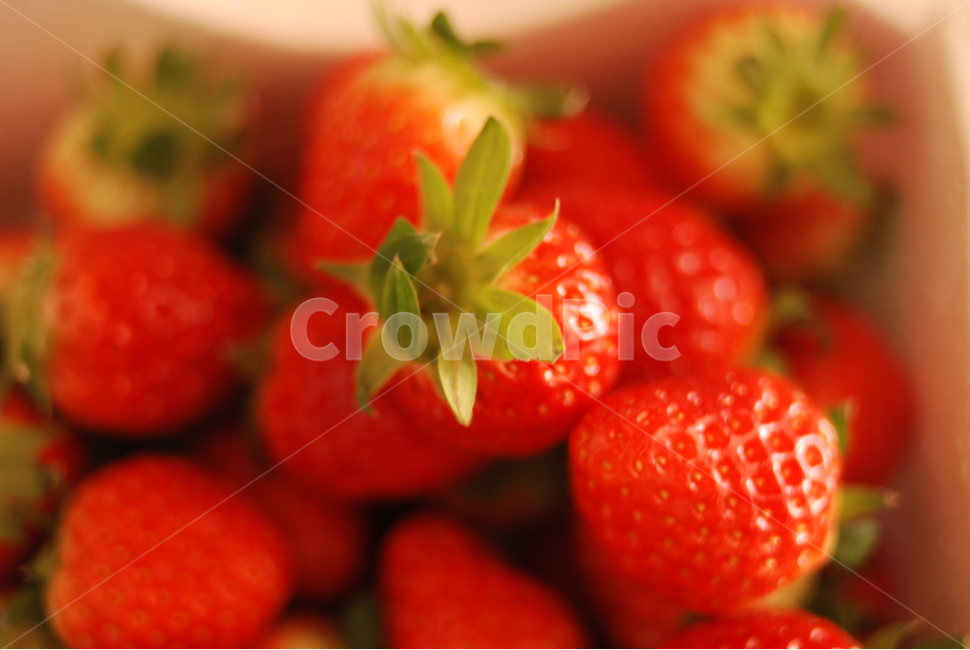 딸기,봄,계절,과일,빨강,과일,열매,fruit
