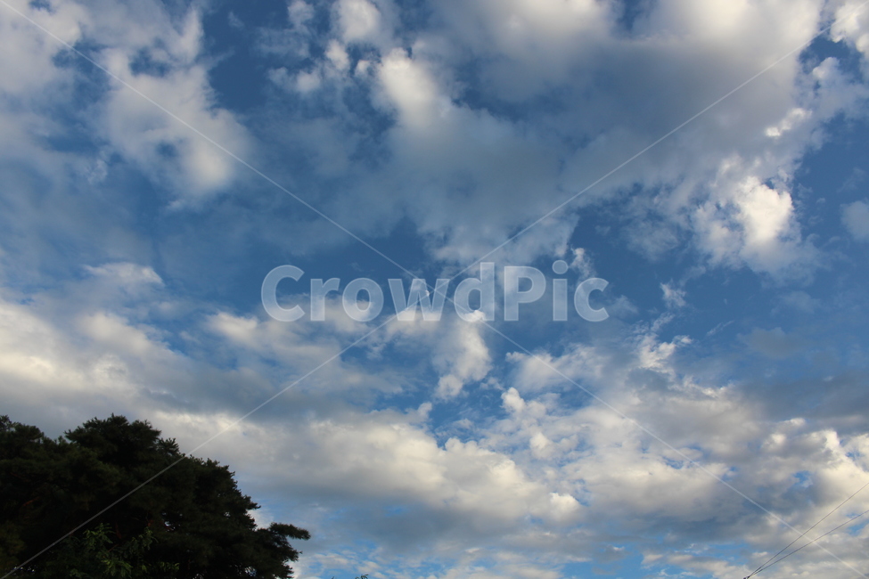 nature,자연,outdoors,하늘,옥외,sky,구름,흐림,흐린날씨,배경,자연,풍경,nature,landscape