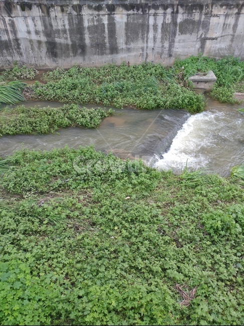 강수량,폭우,흔적,물살,물보라,냇물,풀,물결,자연,풍경,nature,landscape,water,물,outdoors,옥외,land,땅