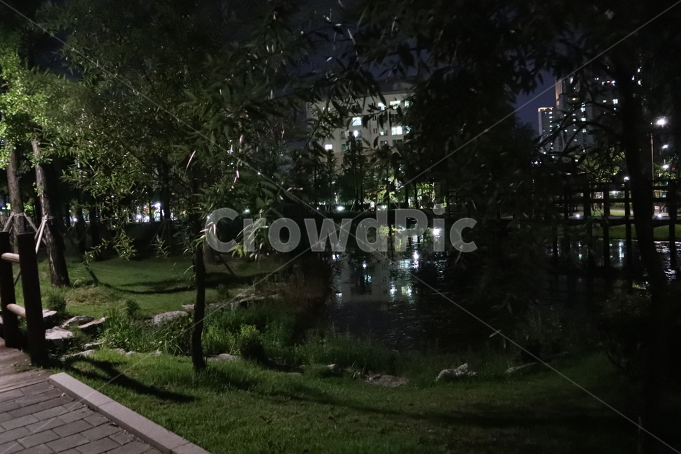 저녁풍경,outdoors,옥외,grass,잔디,plant,식물,야경,밤,풍경,nightscape,night,landscape