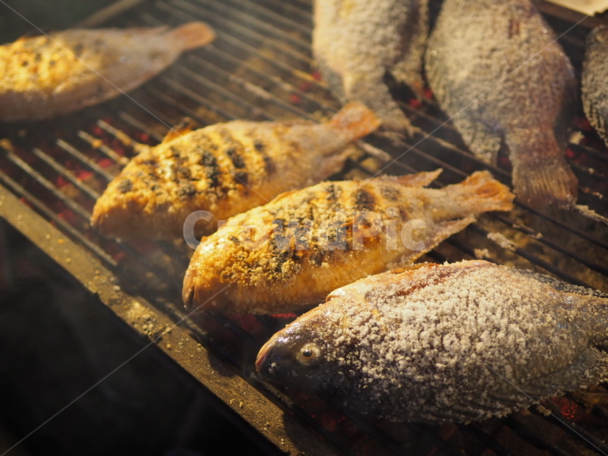 food,음식,생선,태국음식,시장,어류,물고기,fish,수산물,해산물,fishery products,seafood