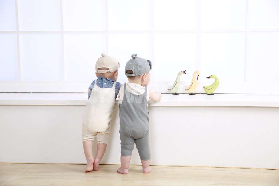 아기,쌍둥이,남자아이,남자쌍둥이,뒷모습