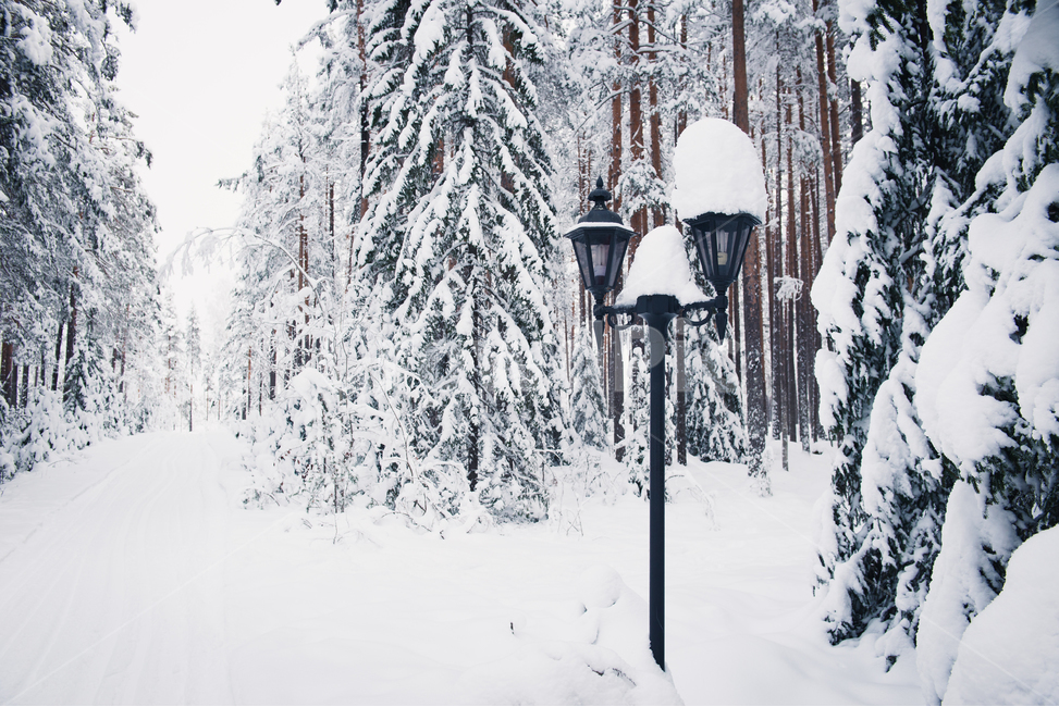 스웨덴,겨울,자연,outdoors,옥외,snow,눈,nature,설경,숲,겨울,계절,winter,season,자연,풍경,nature,landscape