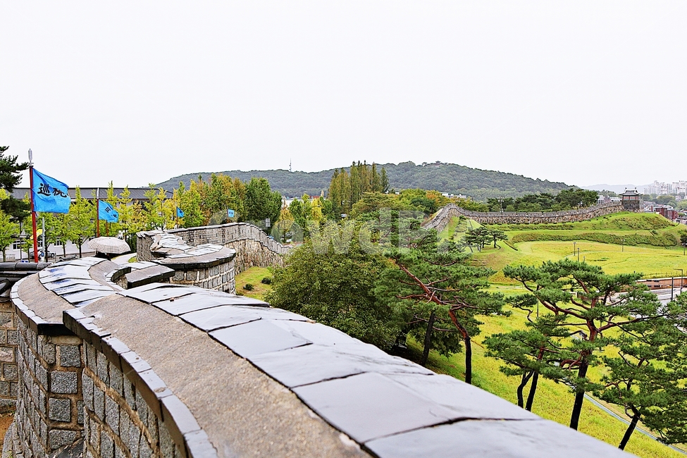 수원화성,성,성곽,길,둘레길,돌담,담,가을,자연,풍경,벽,방어벽,흙담,식물,전통,한국전통,한국문화,korean traditional,korean culture