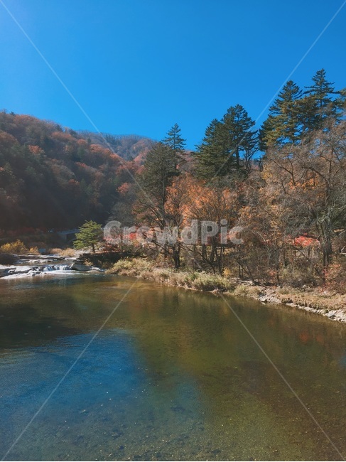 단풍,산,가을,호수,자연,단풍나무,낙엽,한적,숲,단풍숲,가을,계절,fall,autumn,season,자연,풍경,nature,landscape,plant,식물,tree,나무,fir,전나무,water,물