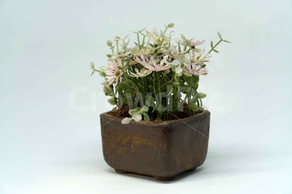 누끼,사물,화분,장식품,꽃,식물,플라워,자연,소품,식물,자연,plants,nature,꽃,flower,누끼,remove background