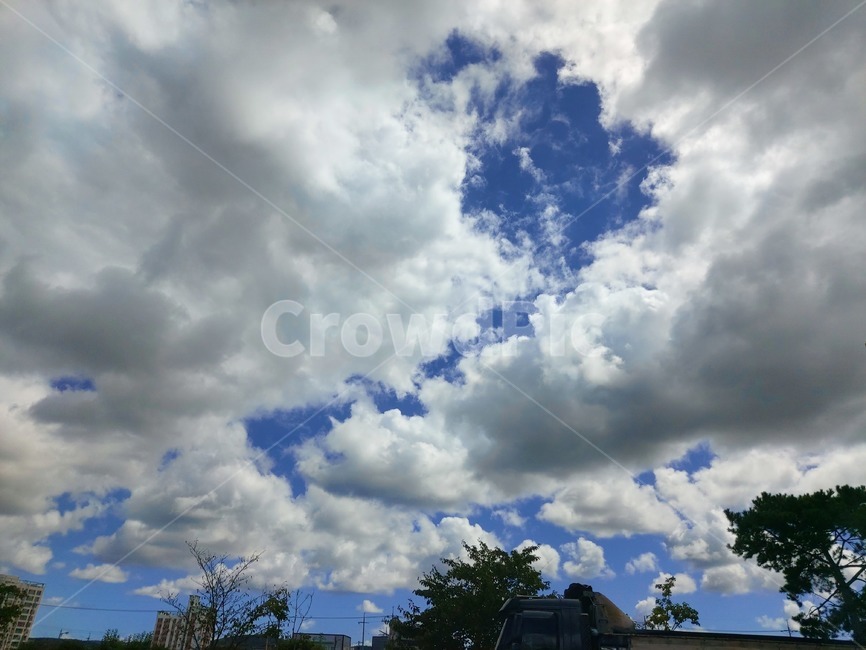 구름,하늘,나무,날씨,맑음,sky,자연,풍경,nature,landscape,weather,cumulus,적운,outdoors,옥외,cloud