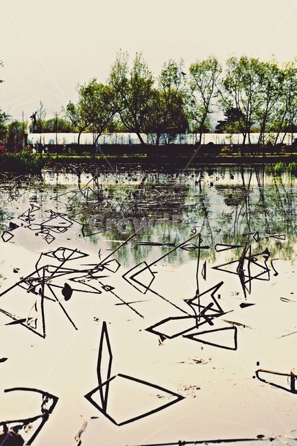 연못,반영사진,실루엣,reflection,reflectionphotography,silhouette,pond,도형,자연,풍경,nature,landscape,outdoors,옥외,land,땅,water,물