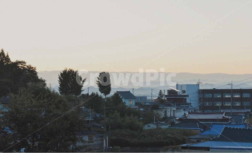 일출,마을,편안한분위기,집,나무,햇빛,매직아워,도시,풍경,city,landscape