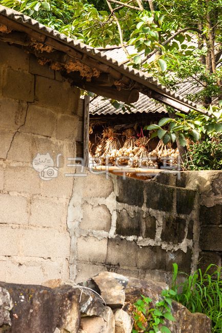 한옥,한국,오래된,마늘,마늘말리기,처마,지붕,담장,벽돌,brick