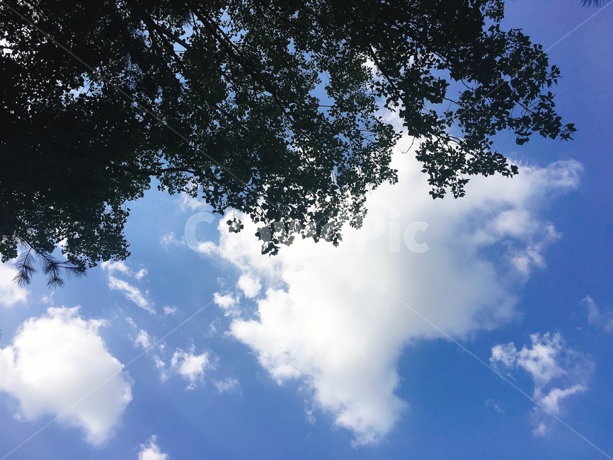하늘,자연,옥외,nature,outdoors