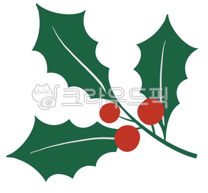 Fruit,christmas decoration,red fruit,winter,winter decoration,tree decoration,christmas fruit,leaf,christmas,fruit tree,decoration