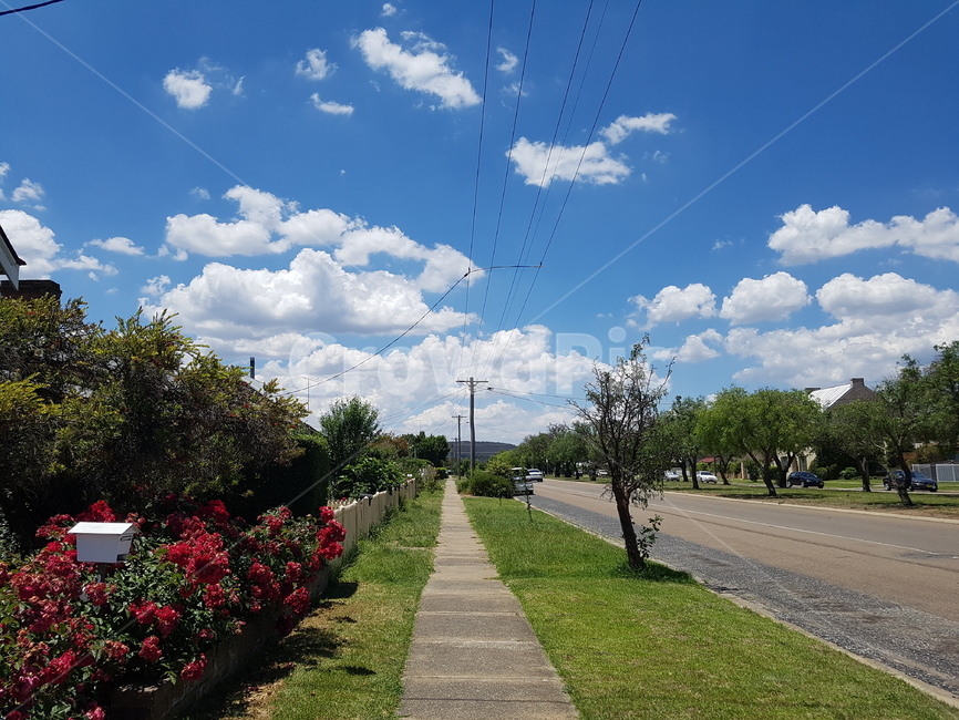 도로,꽃,따스함,주말,맑음,햇살,weather,clean,spring,봄,road